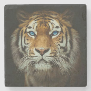 Tiger Stone Coaster
