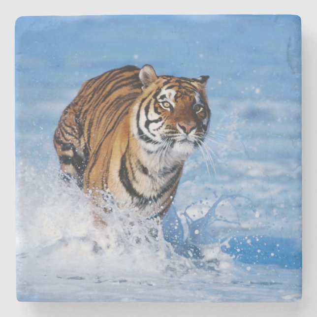 Tiger Stone Coaster (Front)