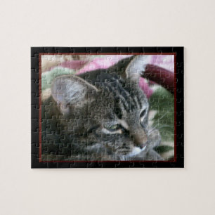 Tiger Strier Kitty Jigsaw Puzzle