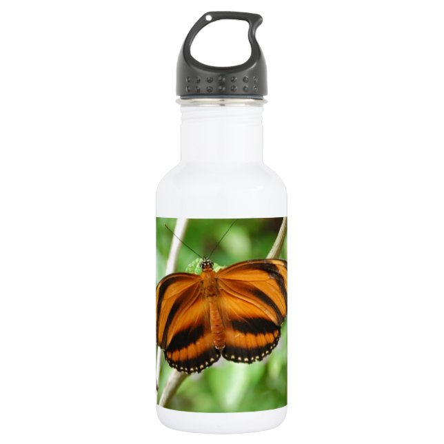 Tiger Stripe Butterfly 532 Ml Water Bottle (Front)