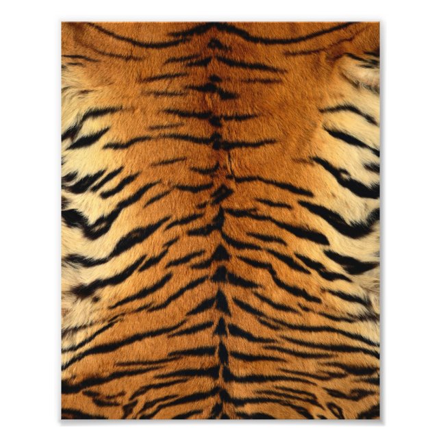 Tiger Stripe Fur Print (Front)
