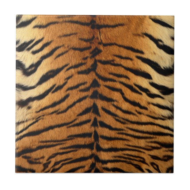 Tiger Stripe Fur Print Tile (Front)
