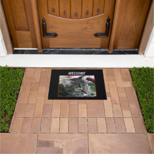 Tiger Stripe Kitty Doormat