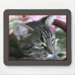 Tiger Stripe Kitty Mouse Pad