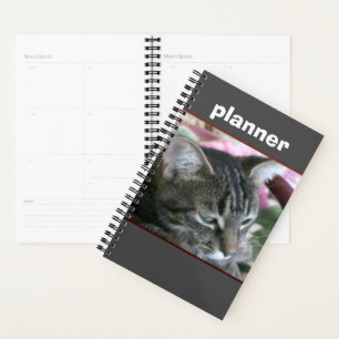 Tiger Stripe Kitty Planner