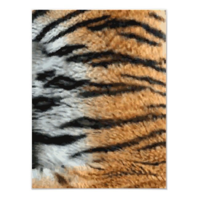 Tiger Stripe Print Pattern Background (Front)