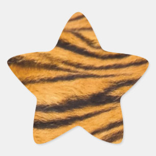 Tiger Stripes Fur Black and Orange Personalize it Star Sticker