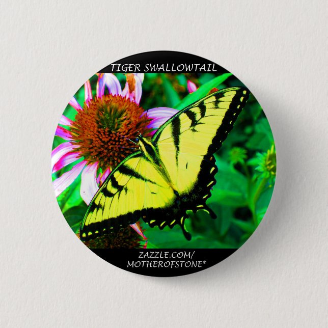 Tiger Swallowtail 2 Inch Round Button (Front)