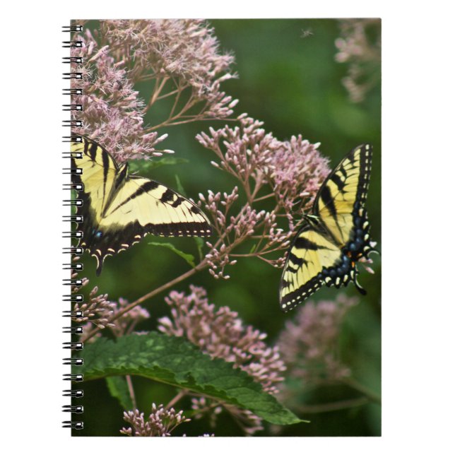 Tiger Swallowtail Butterflies on Joe Pye Weed Notebook (Front)