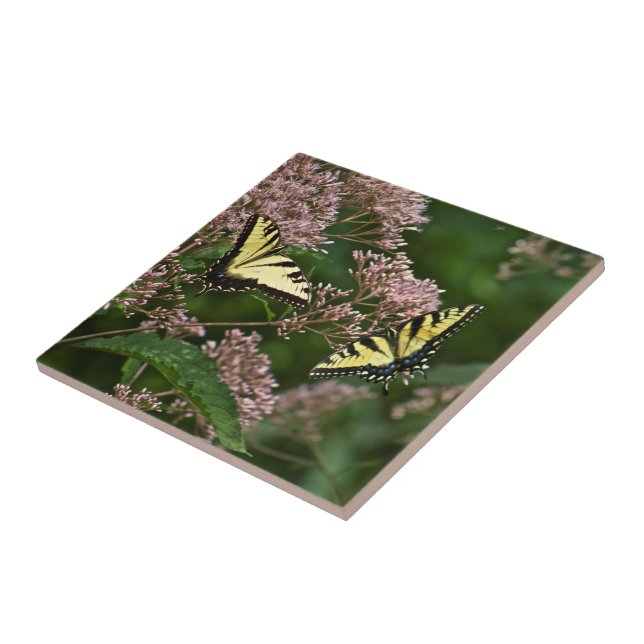 Tiger Swallowtail Butterflies on Joe Pye Weed Tile (Side)
