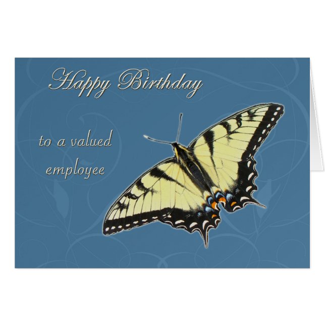 Tiger Swallowtail Butterfly (Front Horizontal)