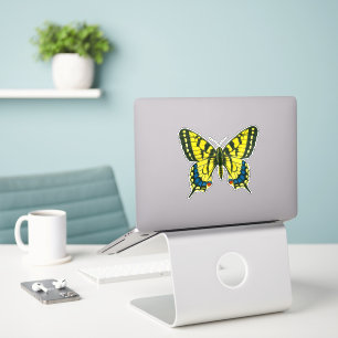 Tiger swallowtail butterfly