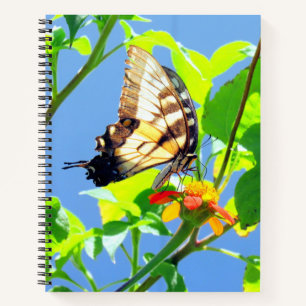 Tiger Swallowtail Butterfly - 8.5 x 11, 8.5 x 8.5, Notebook