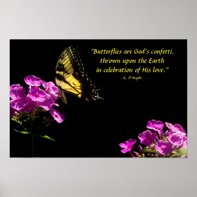 Tiger Swallowtail Butterfly and Wild Phlox Poster (Front)