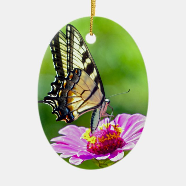 Tiger Swallowtail Butterfly Ceramic Ornament (Front)