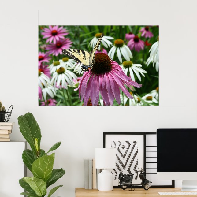 Tiger Swallowtail Butterfly Coneflower Poster (Home Office)