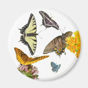 Tiger Swallowtail Butterfly Magnet
