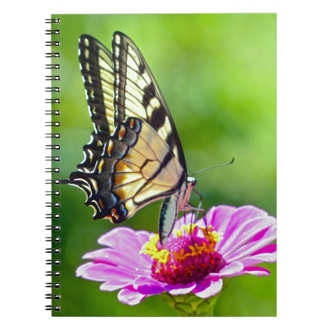Tiger Swallowtail Butterfly Notebook (Front)
