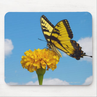 Tiger Swallowtail Butterfly on a Flower Mouse Pad