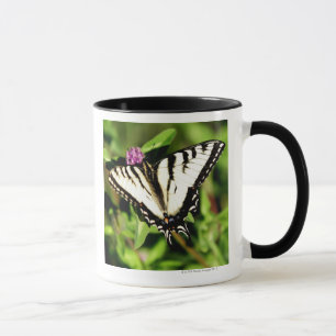 Tiger Swallowtail Butterfly. Papilio glacus. Mug