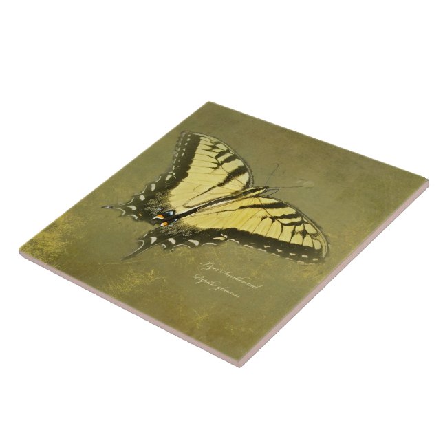 Tiger Swallowtail Butterfly - Papilio glaucus Tile (Side)