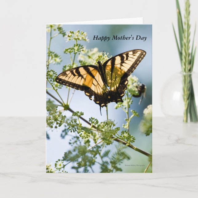 Tiger Swallowtail Mother's Day Card (Front)