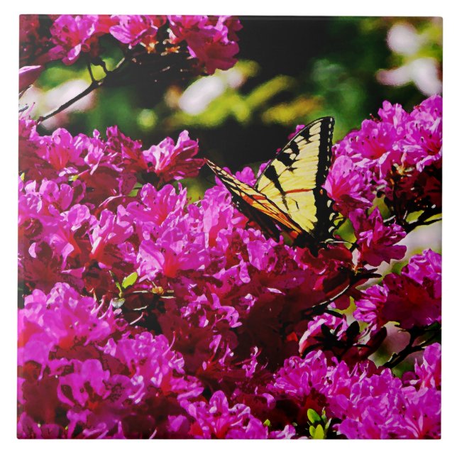 Tiger Swallowtail on Azalea Tile (Front)