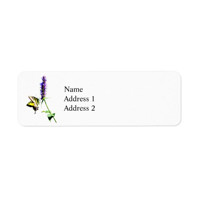 Tiger Swallowtail on Purple Salvia (Front)