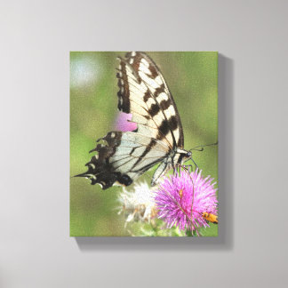 Tiger Swallowtail on Thistle Canvas Print