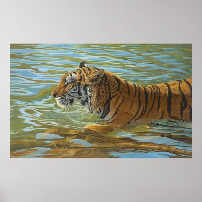 Tiger Swimming Painting - Poster (Front)