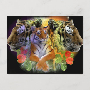 Tiger Symmetry zoo Postcard