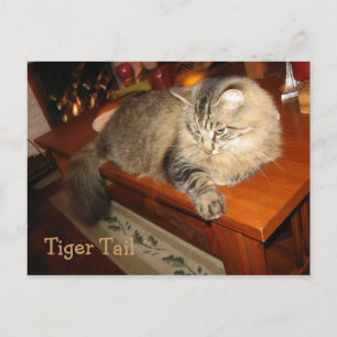 Tiger Tail Postcard
