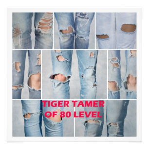 Tiger tamer of 80 level photo print