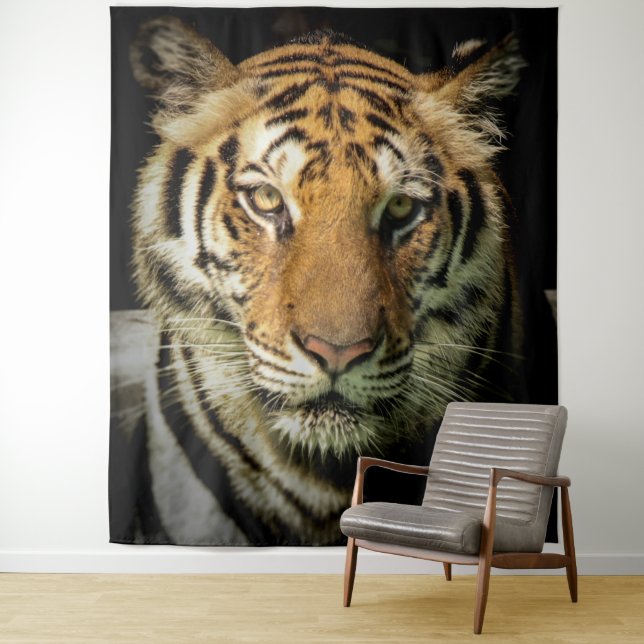 tiger tapestry (In Situ)