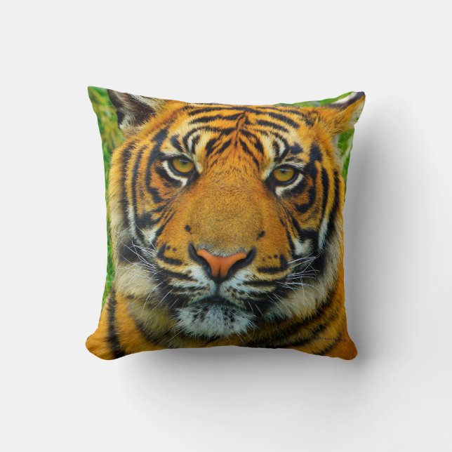 Tiger - The Last Tiger? Throw Pillow (Front)