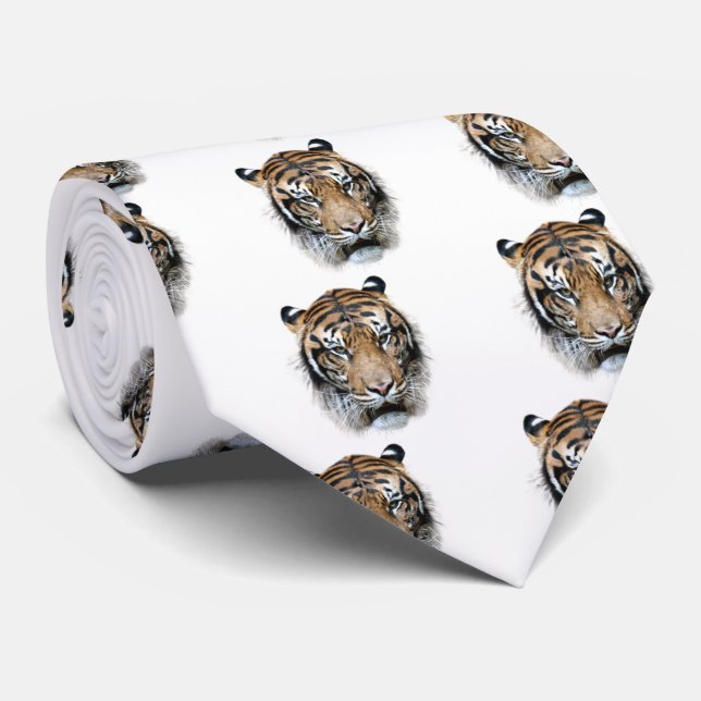 tiger tie (Rolled)