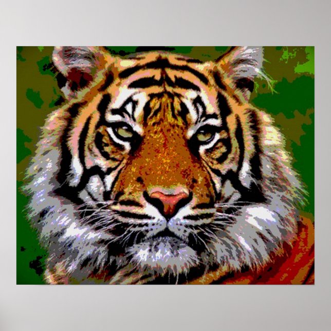 tiger Tiger Poster (Front)