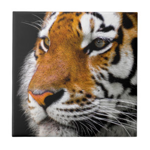 Tiger Tile