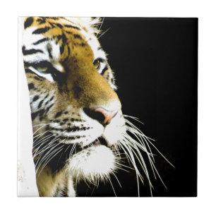 Tiger Tile