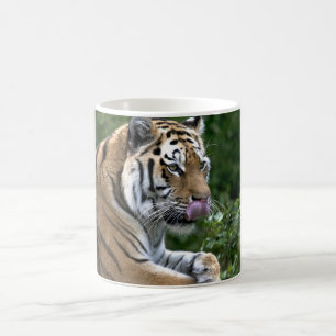 Tiger Tongue Coffee Mug