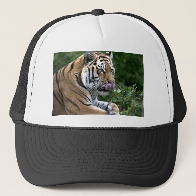 Tiger Tongue Trucker Hat (Front)