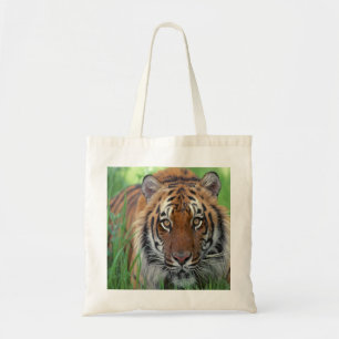 Tiger Tote Bag