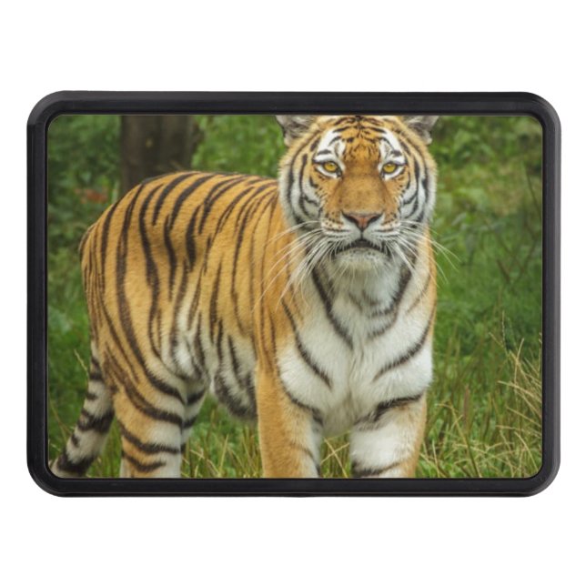 Tiger Trailer Hitch Cover (Front)
