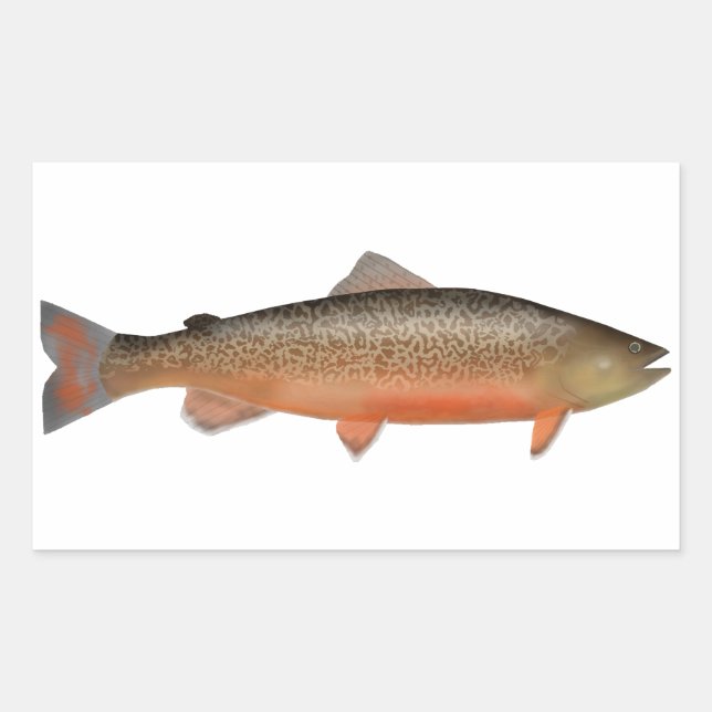 Tiger Trout Sticker (Front)
