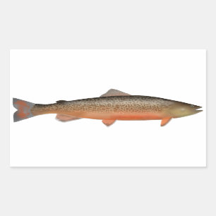 Tiger Trout Sticker