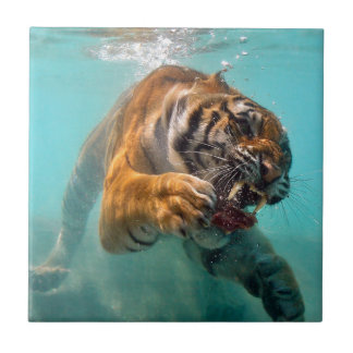 Tiger Underwater Tile