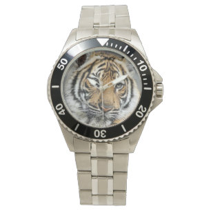 Tiger Watch