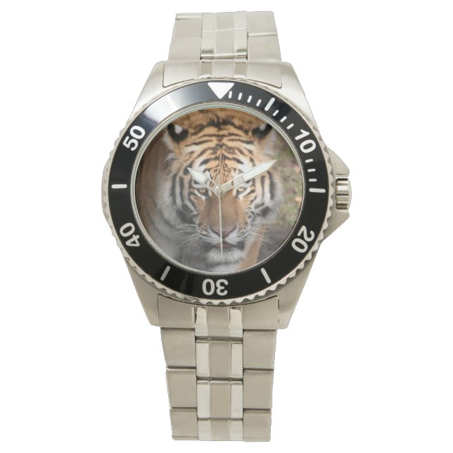 Tiger Watch (Front)