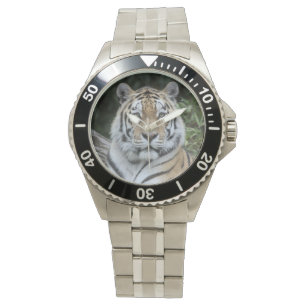 Tiger Watch