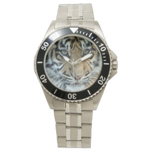 Tiger Watch